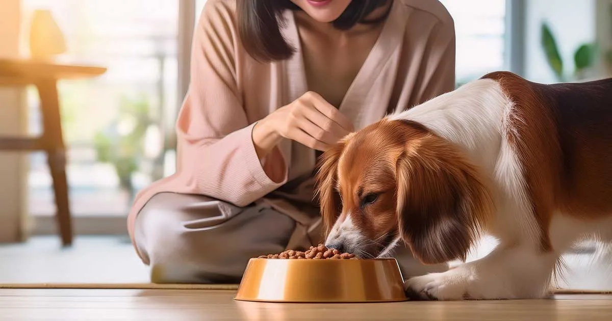 バーキングヘッズ ドッグフード